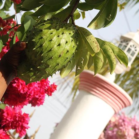 Sweetsop Jamaica Villa And Tours Montego Bay Exterior foto